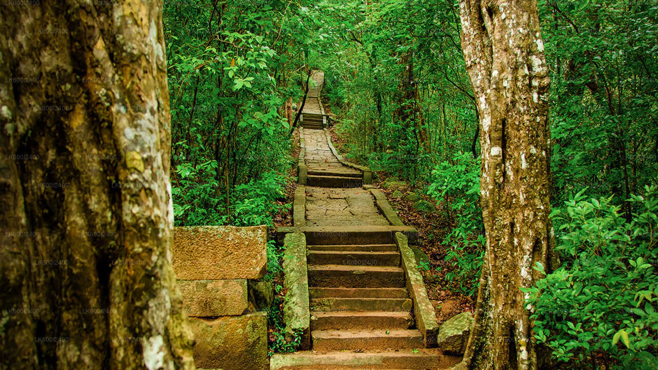 Ritigala Forest Monastery Day Tour